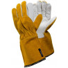 Tegera® 8 gants (6 paires)