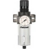 PRESSURE REGULATOR WITH FDR FILTER Ca.