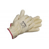 Gants en cuir de vache Qualité standard Assurance et confort Résistant et durable pack COFAN 12 unités