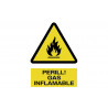 Signal en catalan: Gaz de Perill inflammable (texte et pictogramme) COFAN