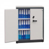 Work cabinet for documents with thermal resistance ECOSAFE