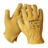 Elastic gants en cuir vacuno SAFETOP type driver Brion