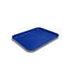 Large Fast Food Tray 11880 for food use (6 Units) DENOX- FAMESA