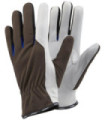 TEGERA 164 gants de peau (12 paires)