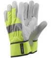 TEGERA 198 gants de peau (6 paires)