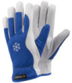 TEGERA 217 gants de peau (6 paires)