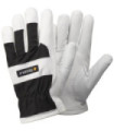 TEGERA 25 gants de peau (12 paires)