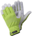 TEGERA 290 gants de peau (6 paires)