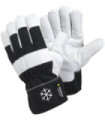 TEGERA 377 gants de peau (6 paires)