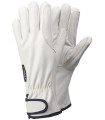 TEGERA 88800 gants de peau